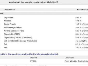100m/t of 20/21 Season Vetch Hay