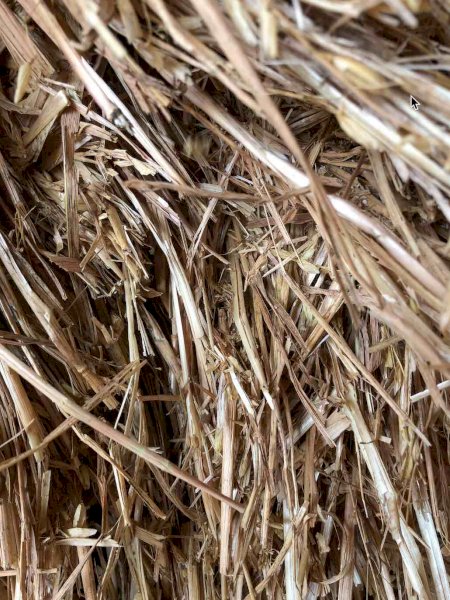 200m/t Oaten Hay 22/23 Season