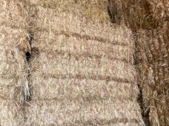 200m/t Oaten Hay 22/23 Season