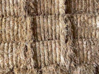 200m/t Oaten Hay 22/23 Season