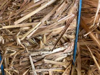 200m/t Oaten Hay 22/23 Season