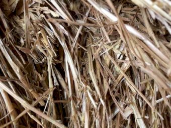 200m/t Oaten Hay 22/23 Season