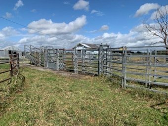 Set of Cattle Yards