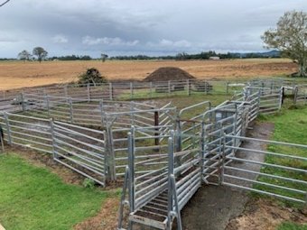 Set of Cattle Yards