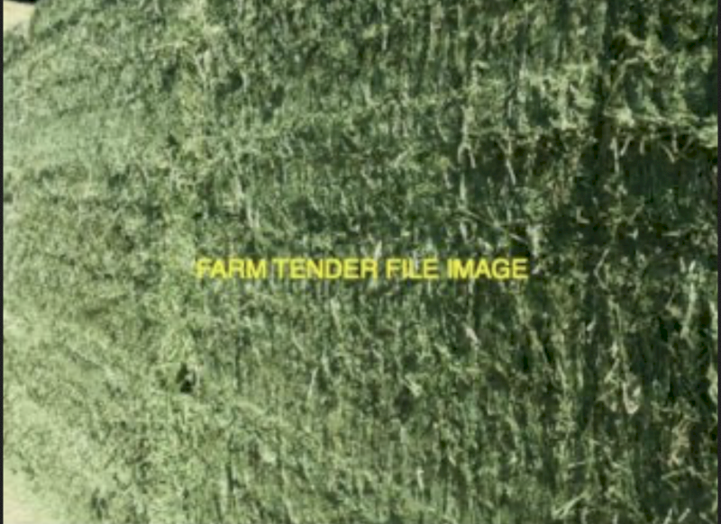 Lucerne Hay 8x4x3 Bales