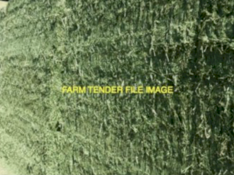 Lucerne Hay 8x4x3 Bales