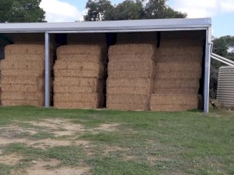 150 Bales of 2nd Cut Lucerne Hay