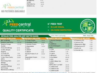 150 Bales of 2nd Cut Lucerne Hay