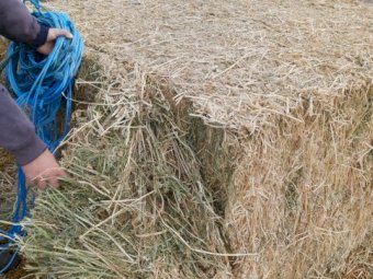 150 Bales of 2nd Cut Lucerne Hay
