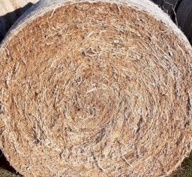 Balansa Clover Hay Rolls