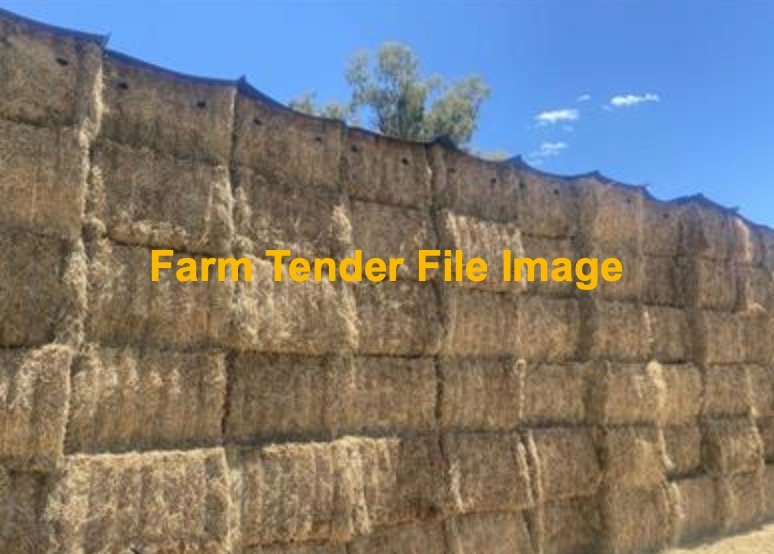 Lucerne Hay 8x4x3 Bales