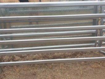 20 x Sheep Panels 2.1m x 1.05m