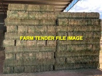 WANTED Small Lucerne Squares