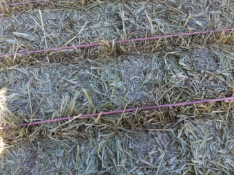 Oaten & Rye Hay 8x4x3 Bales