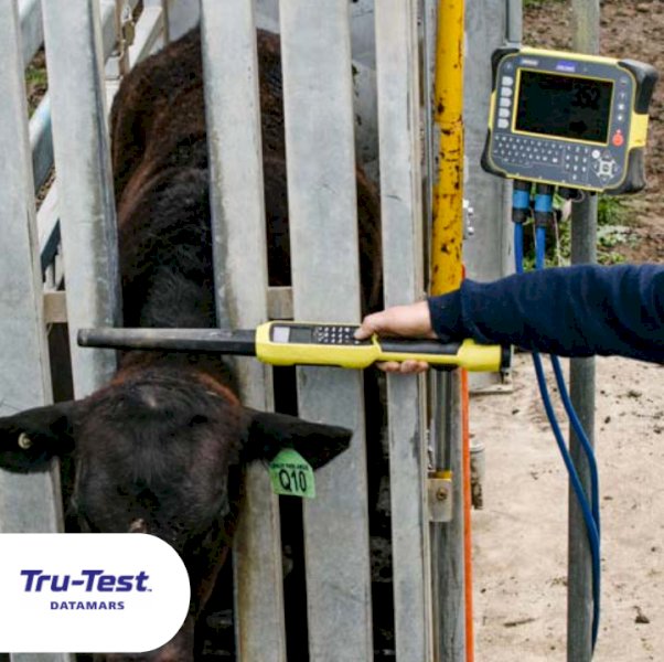 Tru-Test ID5000 Weigh Indicator - Save $200 with Prime Ag Centre