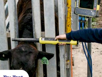 Tru-Test S3 Loadbar system (S3 Indicator and MP600 loadbars) - Save $200 with Prime Ag Centre