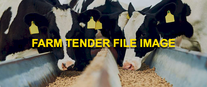 Rice, Flour and Grains for Stock Feed