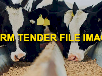 Rice, Flour and Grains for Stock Feed