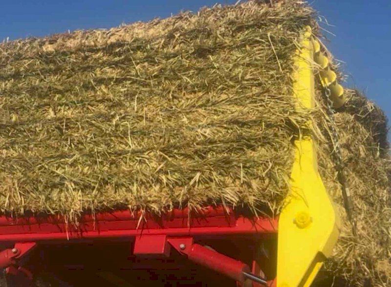 Millet Hay 8x4x3 Bales Farm Tender