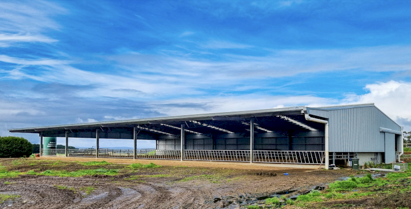 Action Steel Calf Shed