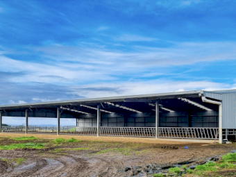 Action Steel Calf Shed