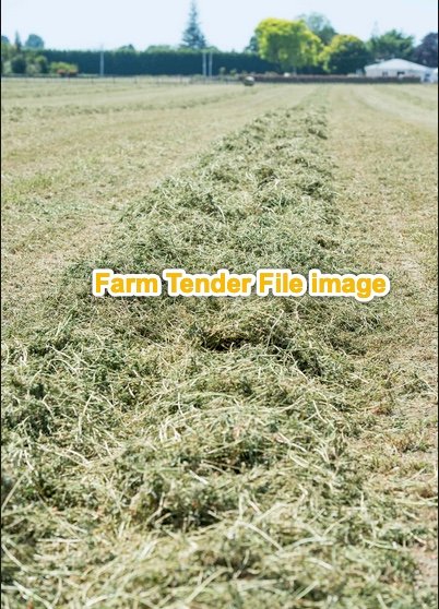 100 mt Pasture Hay Seller to Freight