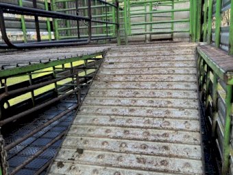 Under Auction - 1994 International Acco  2350 C Truck with 2 deck sheep crate 