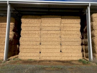 200mt Wheaten Straw 8x4x3 Bales