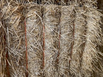 200mt Wheaten Straw 8x4x3 Bales