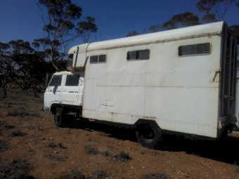 1984 Isuzu Twin Cab Truck With Horse Float