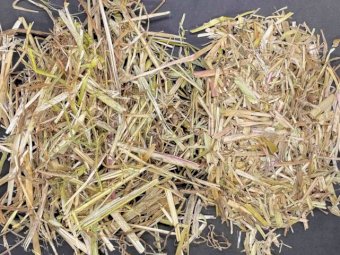 Oaten Hay 8x4x3 Bales