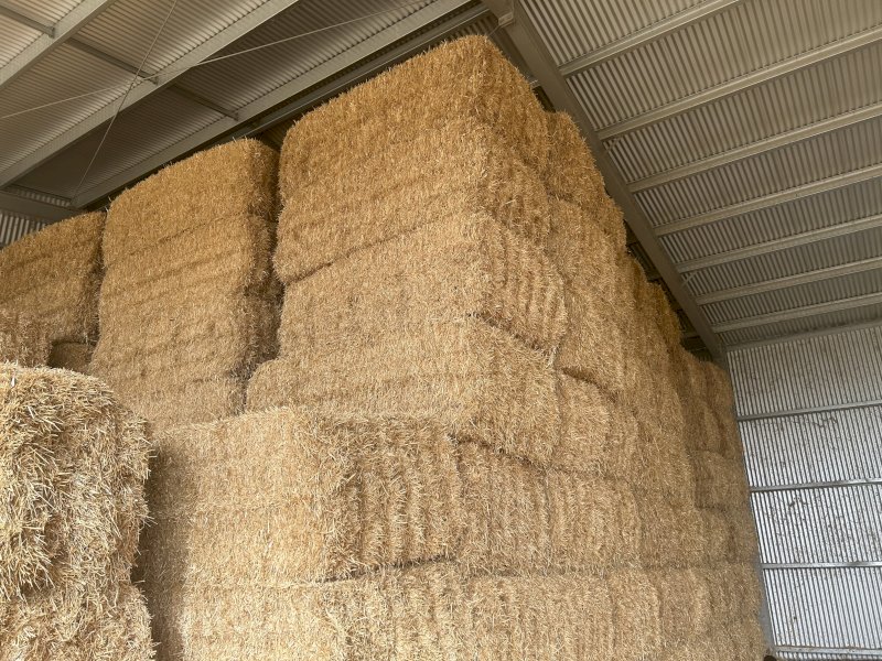 250mt Barley Straw 8x4x3 Bales | Farm Tender