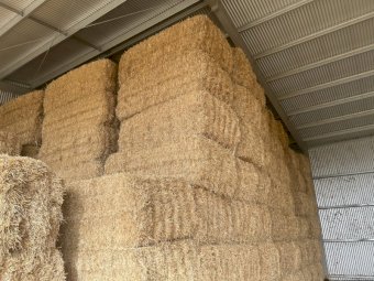 250mt Barley Straw 8x4x3 Bales