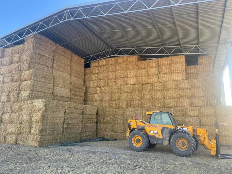500 mt Wheat Straw Tailings