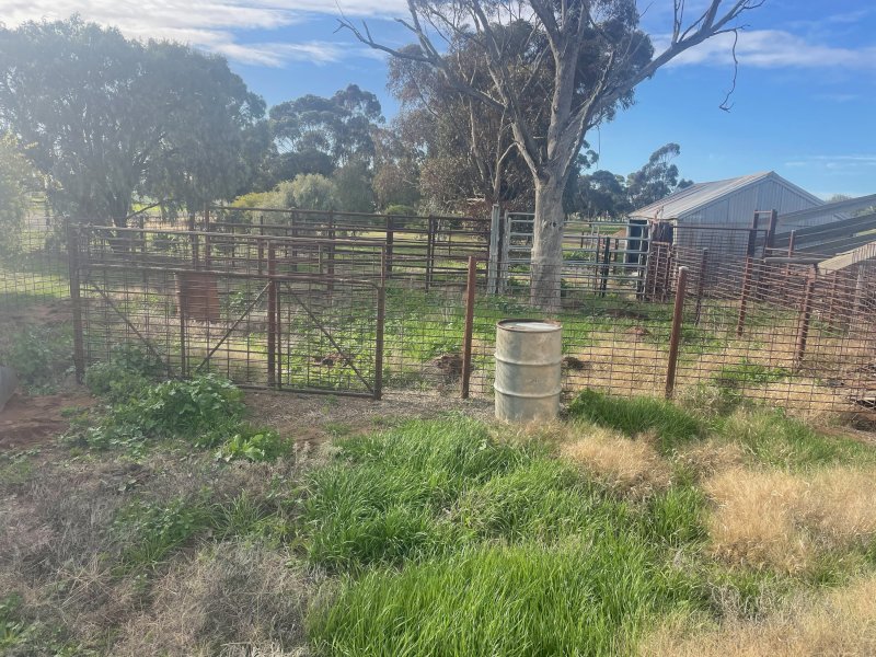 Cattle Yards/Fencing