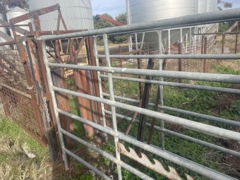 Cattle Yards/Fencing
