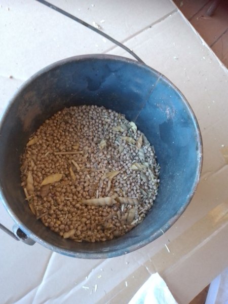 30mt Mandelup Lupins