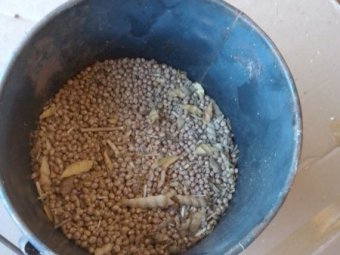 30mt Mandelup Lupins