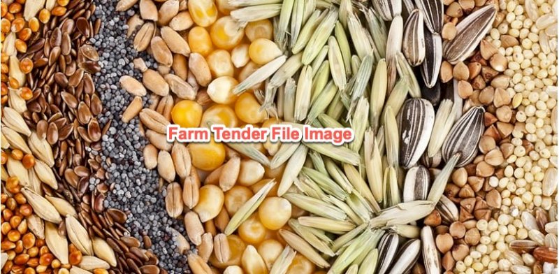 Mixed varieties of seed available Tamworth all seed is in bags and sold by the KG