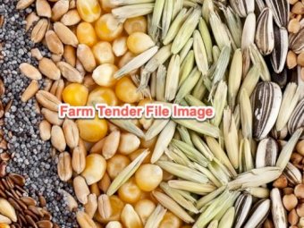 Mixed varieties of seed available Toowoomba all seed is in bags and sold by KG