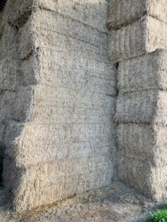 40mt Lucerne Hay 8x4x3 Bales (1st cut)
