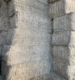 40mt Lucerne Hay 8x4x3 Bales (1st cut)