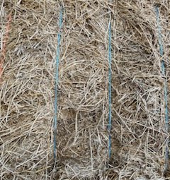 40mt Lucerne Hay 8x4x3 Bales (1st cut)