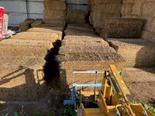 40mt Lucerne Hay 8x4x3 Bales (2nd cut)