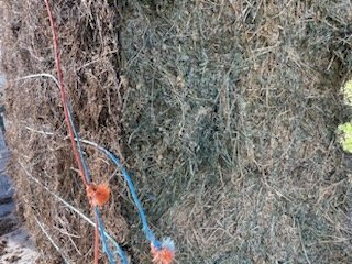 40mt Lucerne Hay 8x4x3 Bales (2nd cut)