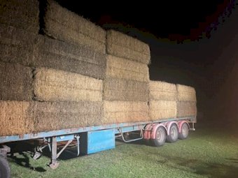 40mt Lucerne Hay 8x4x3 Bales (2nd cut)