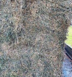 40mt Lucerne Hay 8x4x3 Bales (2nd cut)
