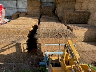 40mt Lucerne Hay 8x4x3 Bales (2nd cut)