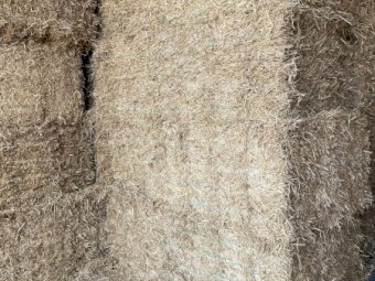 Wheaten Straw Small Squares