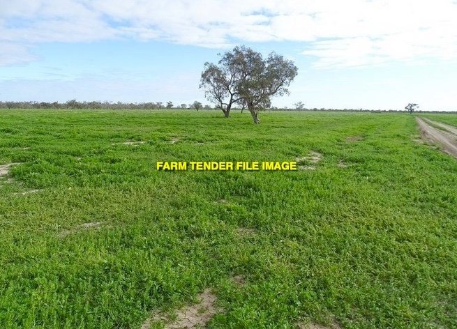 WANTED Lease Land for Sheep and Cattle